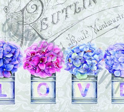 HYDRANGEA LOVE