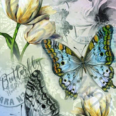LONELEY BUTTERFLY