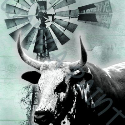 NGUNI WINDMILL