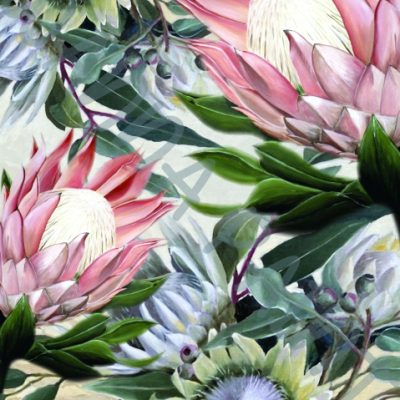 PROTEAS