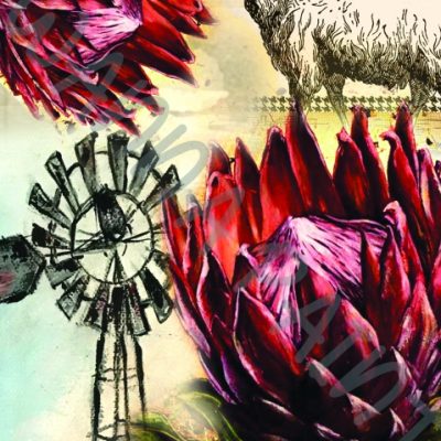 PROTEA FARM
