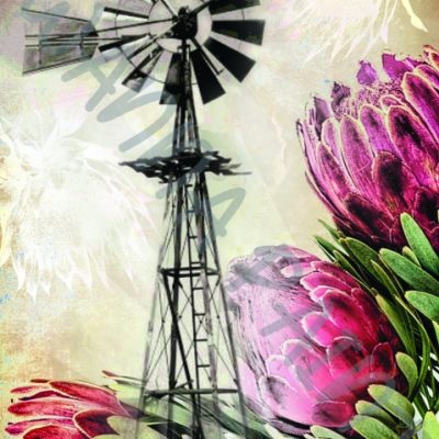 PROTEA WINDMILL