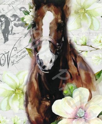 HORSE