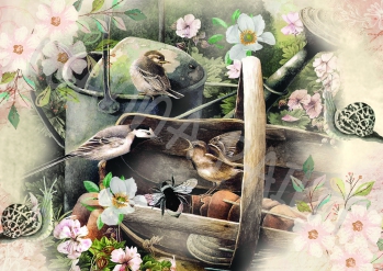 BIRD PARTY