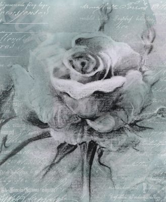 BLACK ROSE