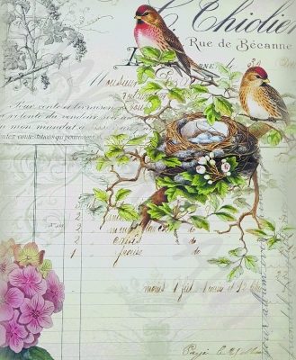 FRENCH BIRDS