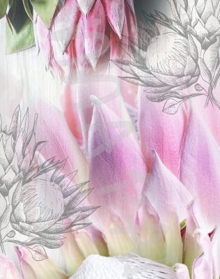 DOOR HEAVENLY PROTEAS