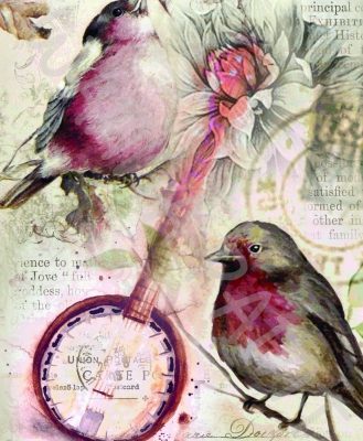 RED ROBIN