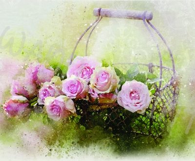 ROSE BASKET