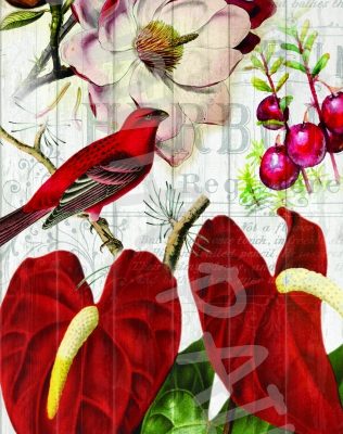 DOOR RED BLOOM