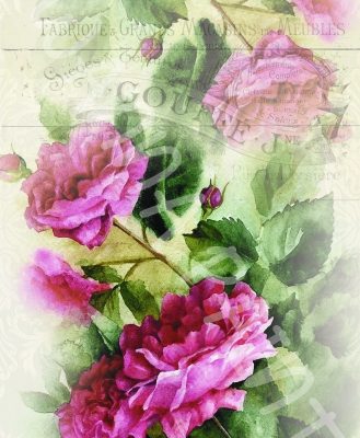 PINK BLOSSOMS