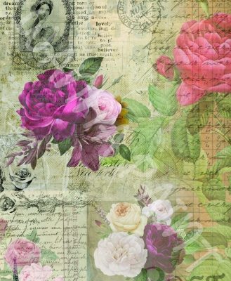 FRENCH ROSE