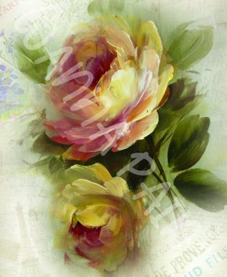 FRENCH ROSES