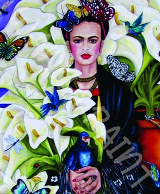 FRIEDA BUTTERFLIES